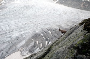 Glaciers suisses Rhône 2007 (wb)a